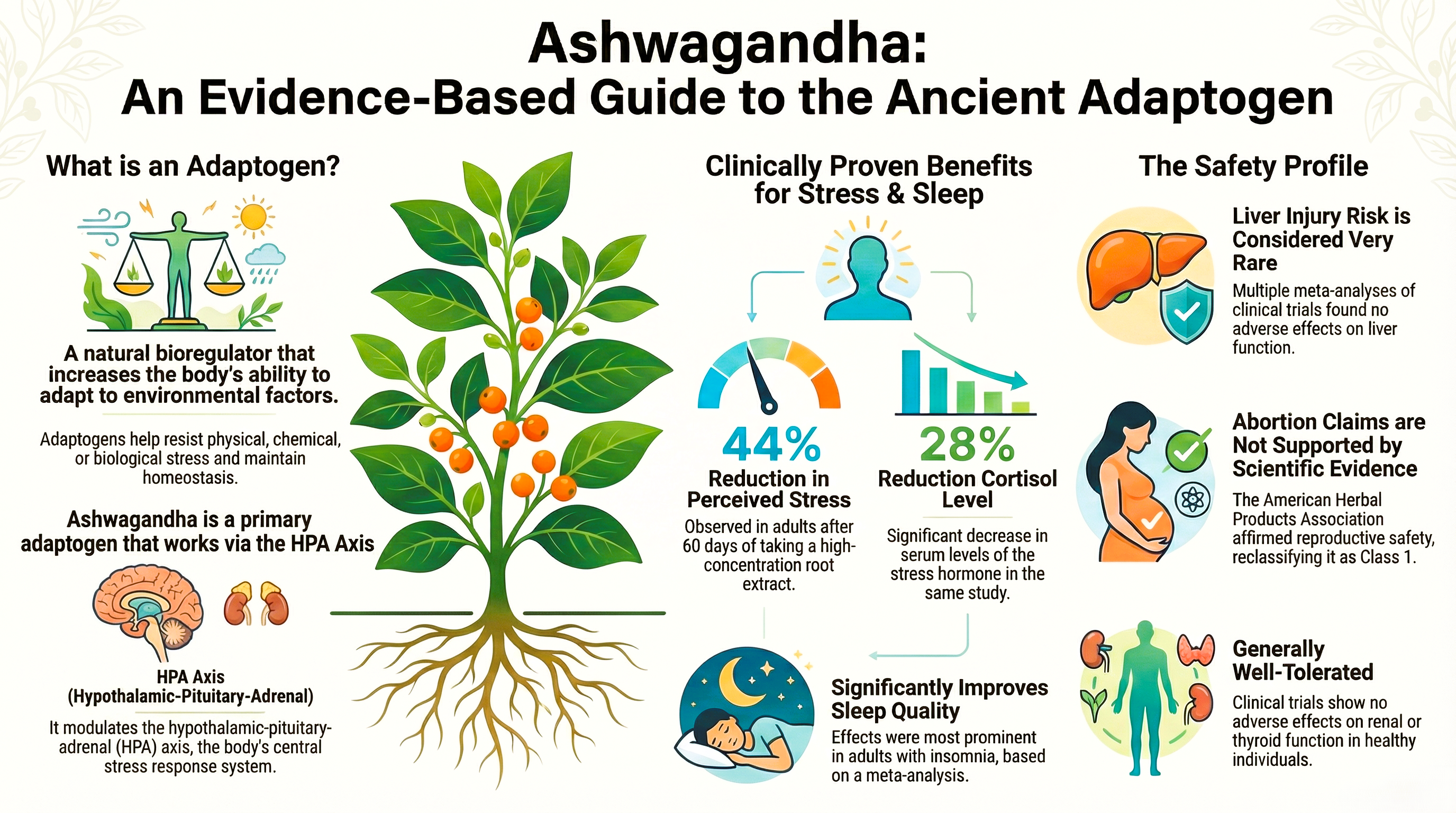 Comparison of morning vs evening protocols for taking adaptogens for stress and anxiety